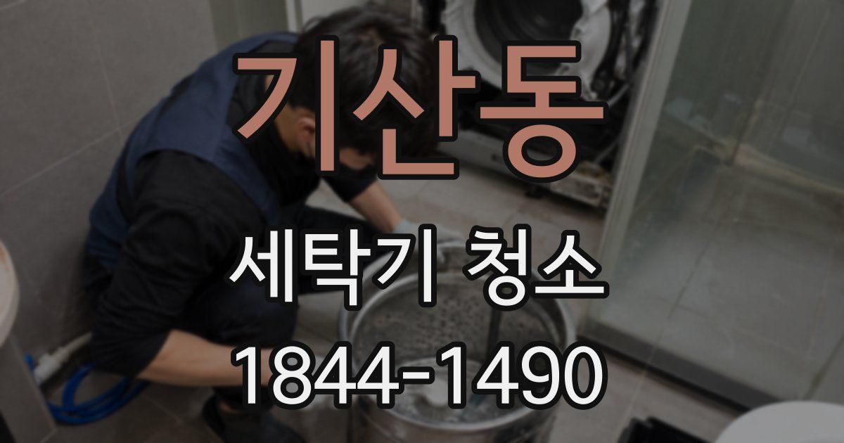 기산동 세탁기 청소