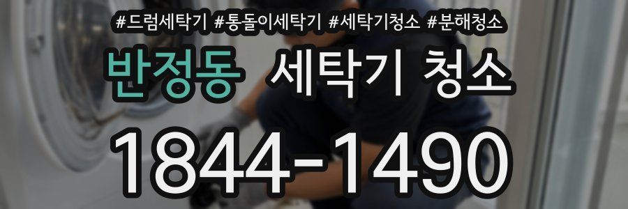 반정동 세탁기 청소