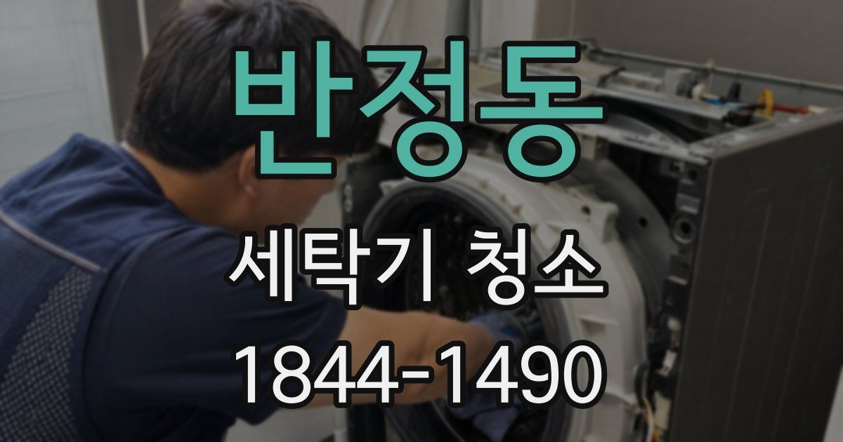 반정동 세탁기 청소