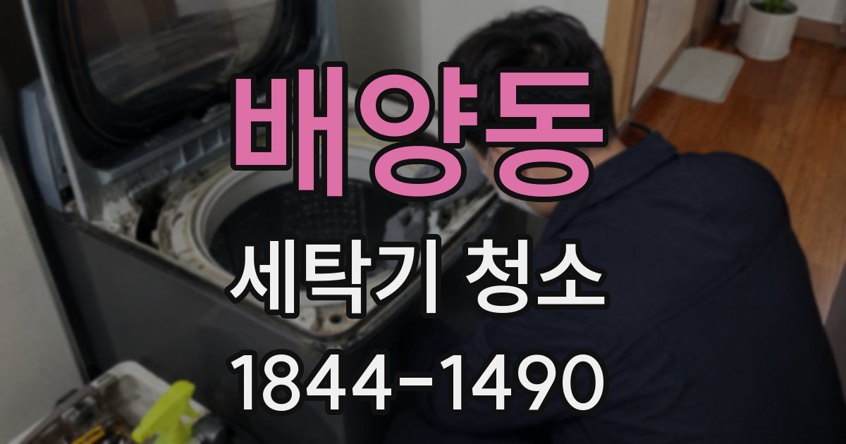 배양동 세탁기 청소