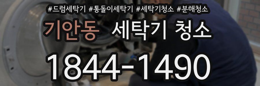기안동 세탁기 청소