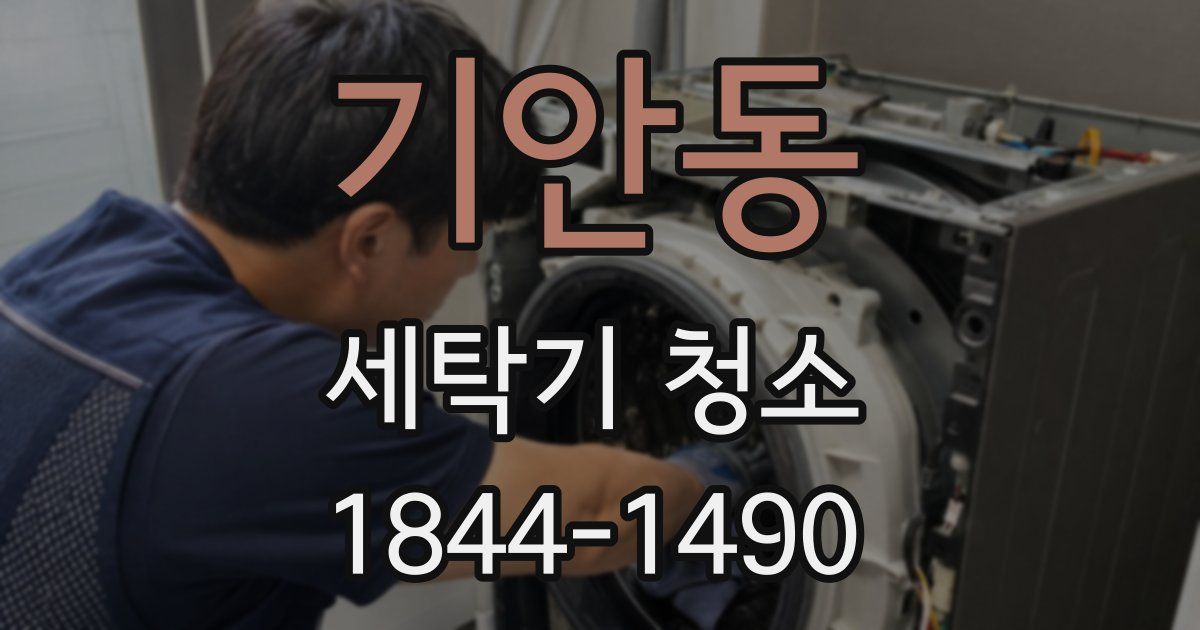 기안동 세탁기 청소