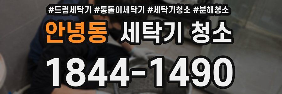 안녕동 세탁기 청소