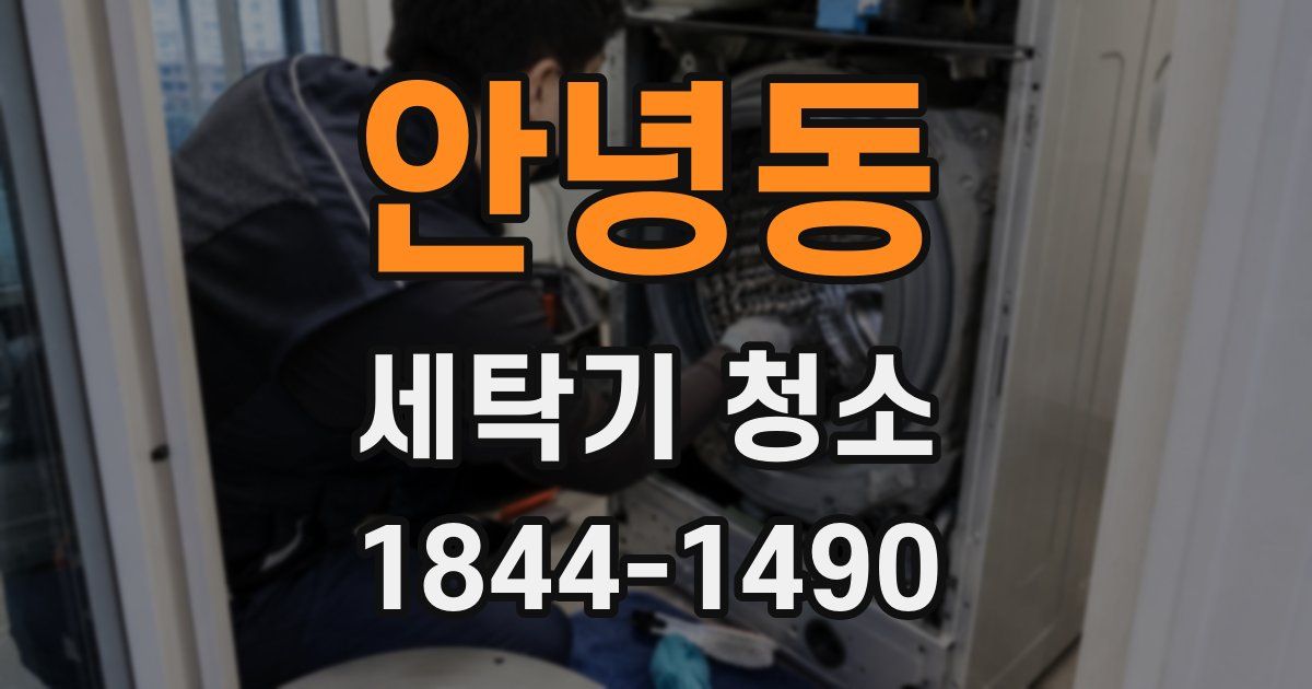 안녕동 세탁기 청소