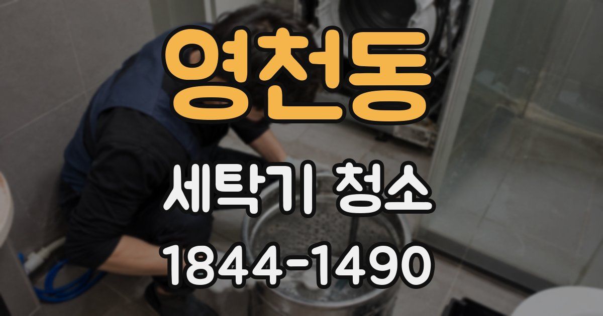 영천동 세탁기 청소
