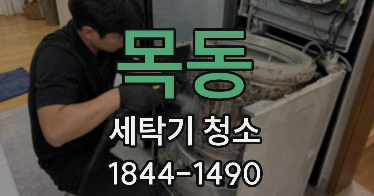 목동 세탁기 청소