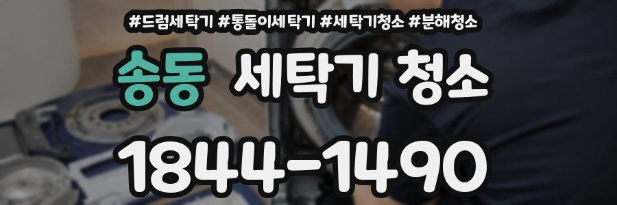 송동 세탁기 청소