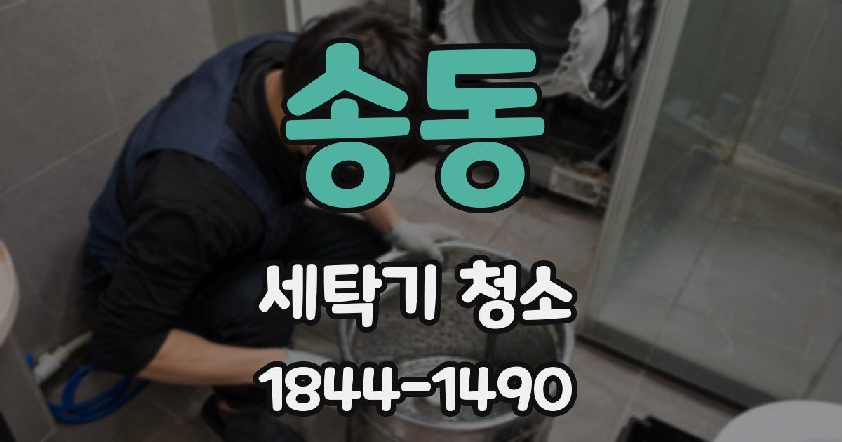 송동 세탁기 청소