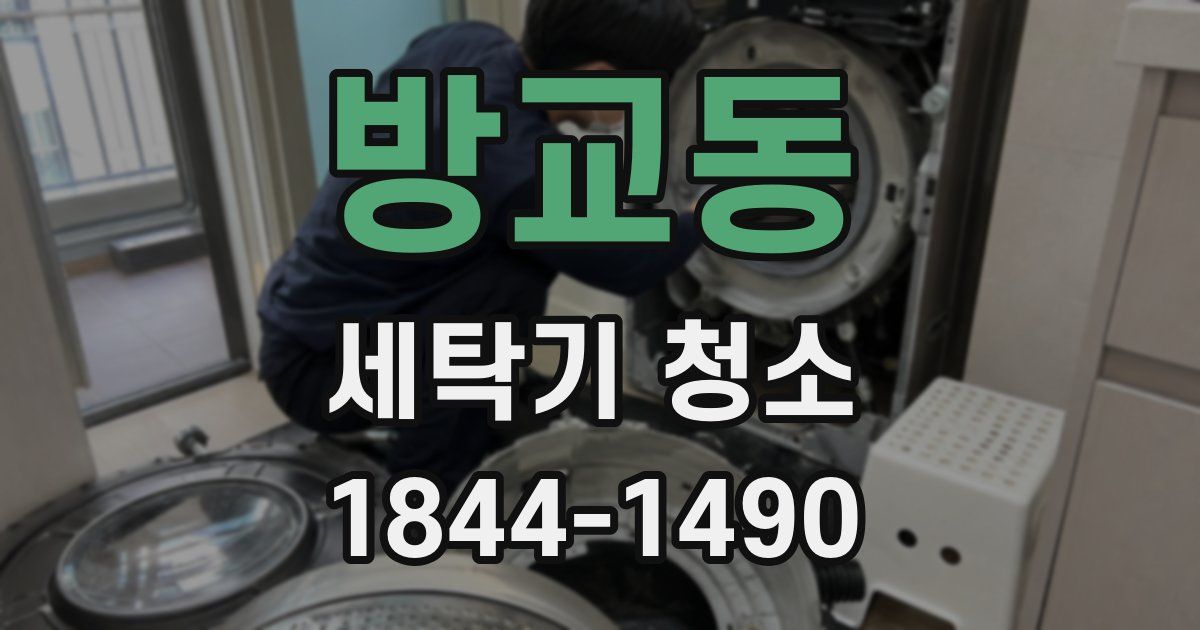 방교동 세탁기 청소