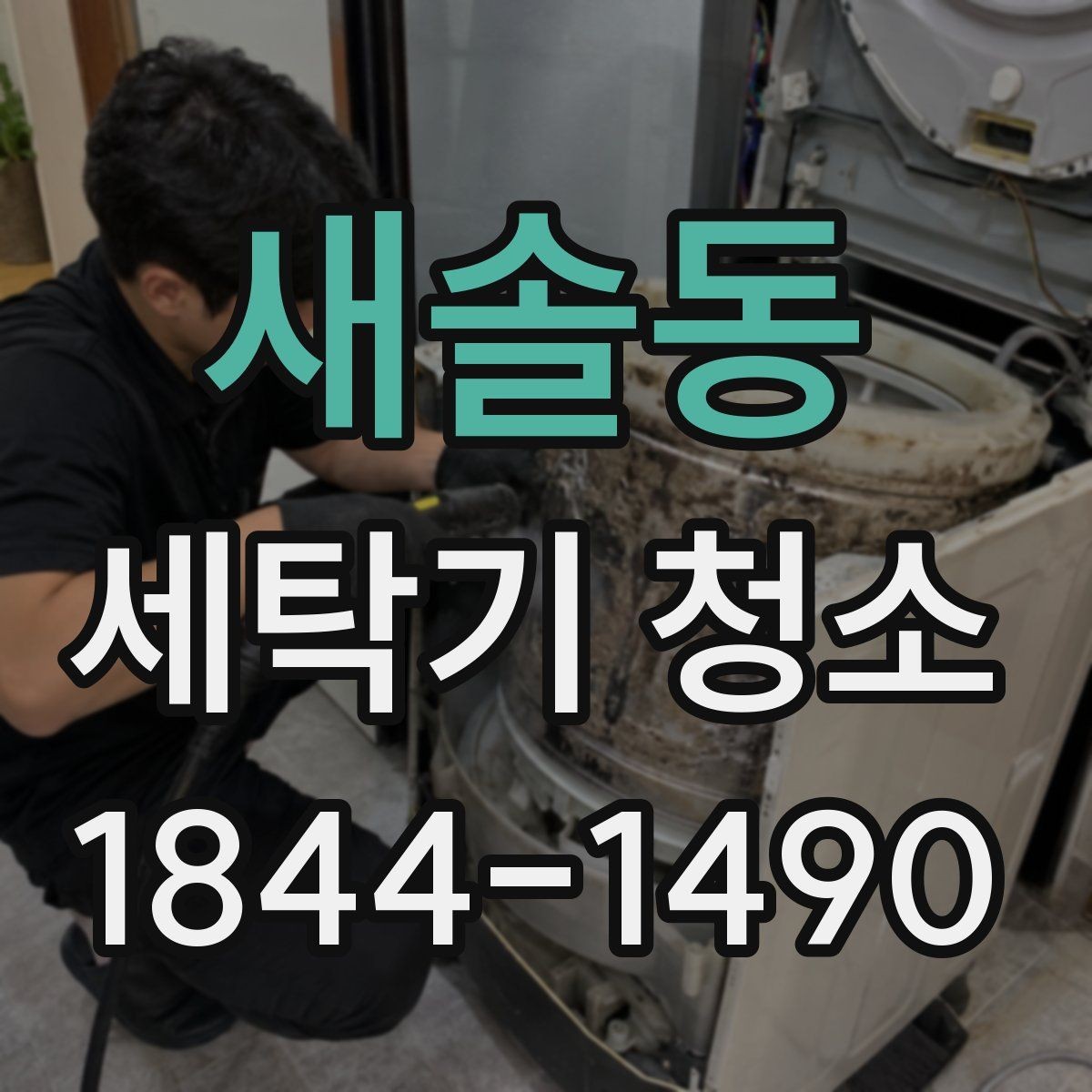 새솔동 세탁기 청소 곰팡이가 잘 번식하는 내부 구조와 환경