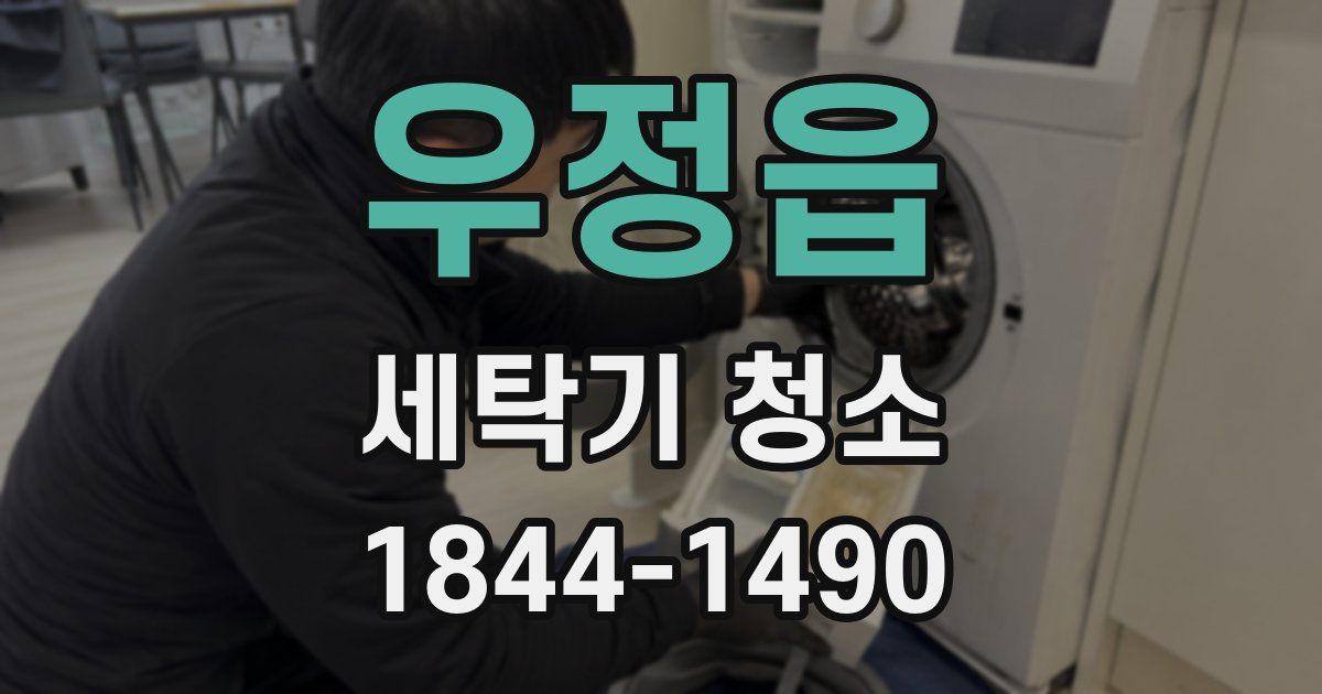 우정읍 세탁기 청소