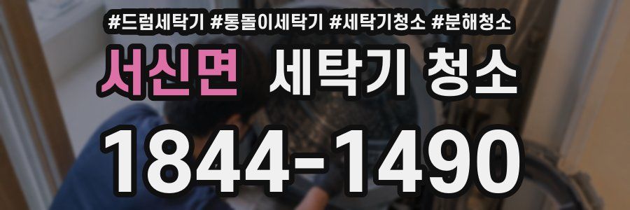 서신면 세탁기 청소