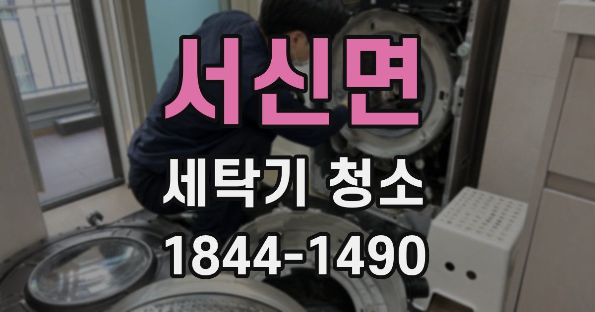 서신면 세탁기 청소