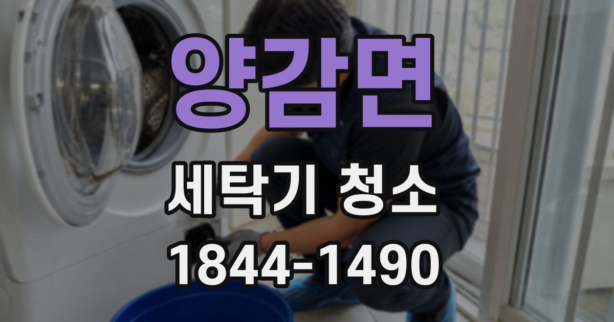 양감면 세탁기 청소