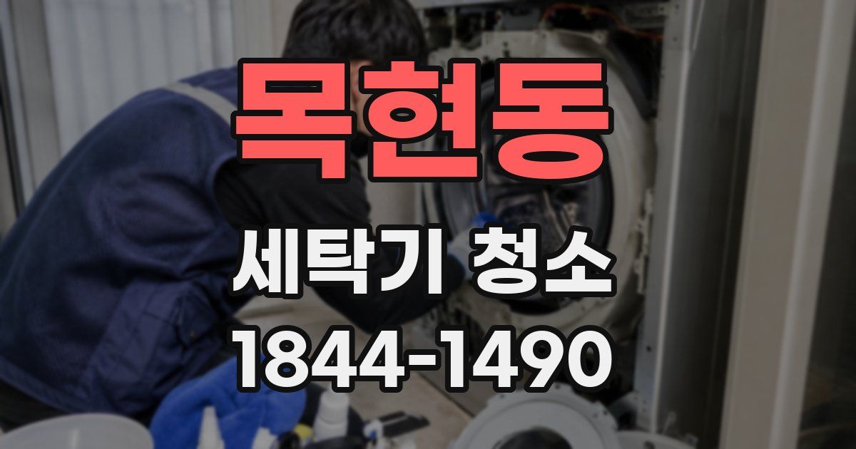목현동 세탁기 청소