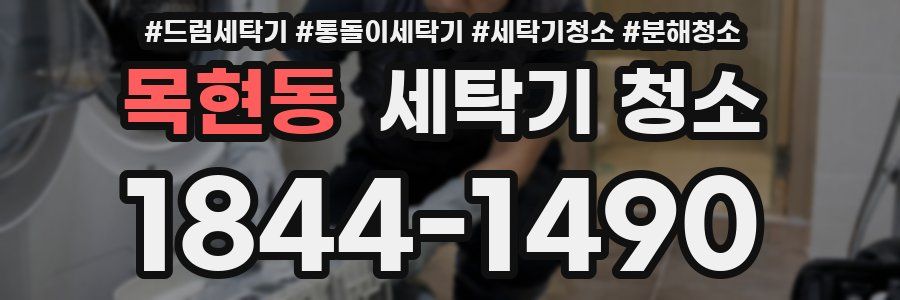 목현동 세탁기 청소