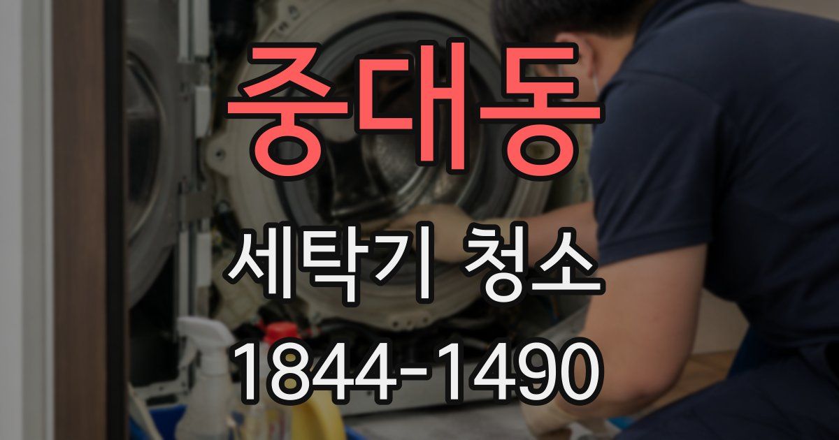 중대동 세탁기 청소