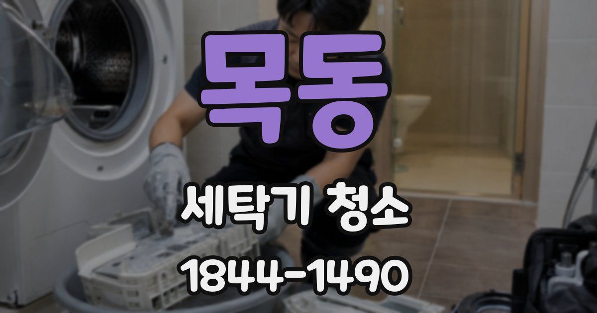 목동 세탁기 청소