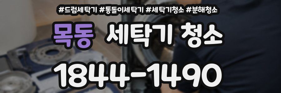 목동 세탁기 청소