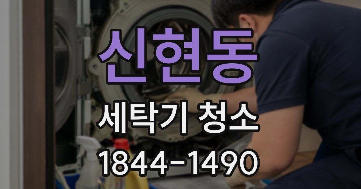 신현동 세탁기 청소