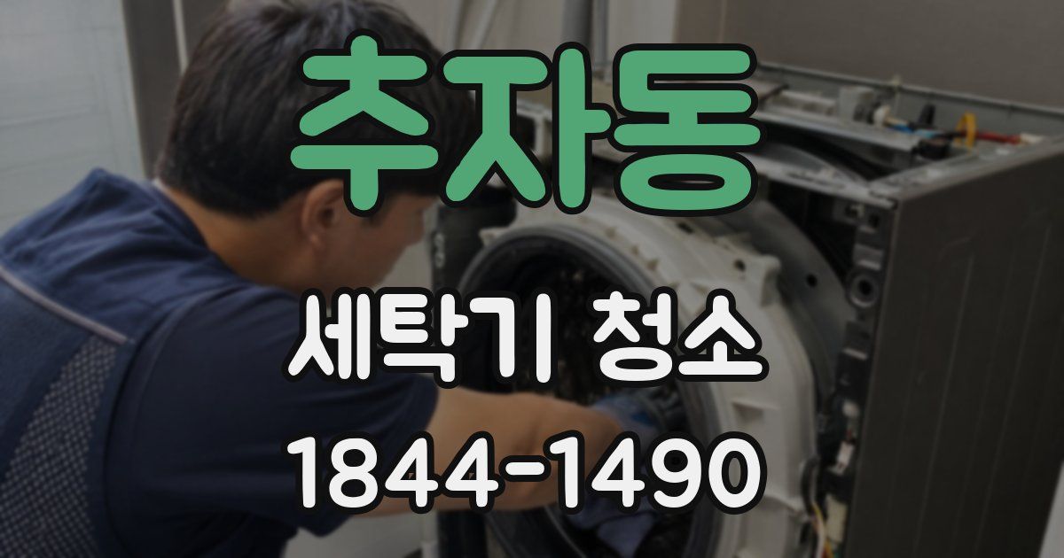추자동 세탁기 청소