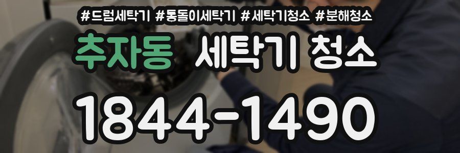 추자동 세탁기 청소