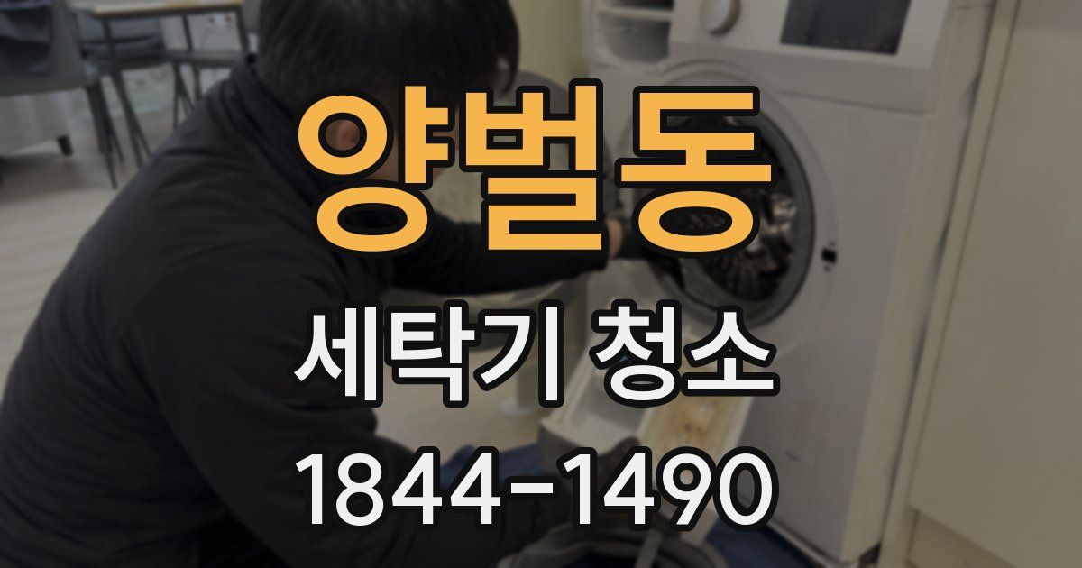 양벌동 세탁기 청소