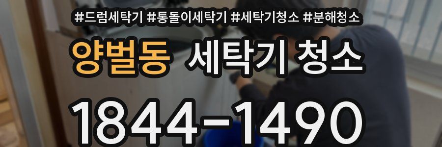 양벌동 세탁기 청소