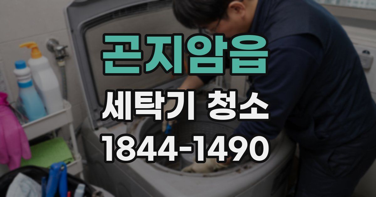 곤지암읍 세탁기 청소