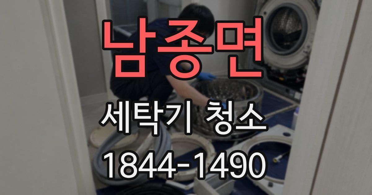 남종면 세탁기 청소