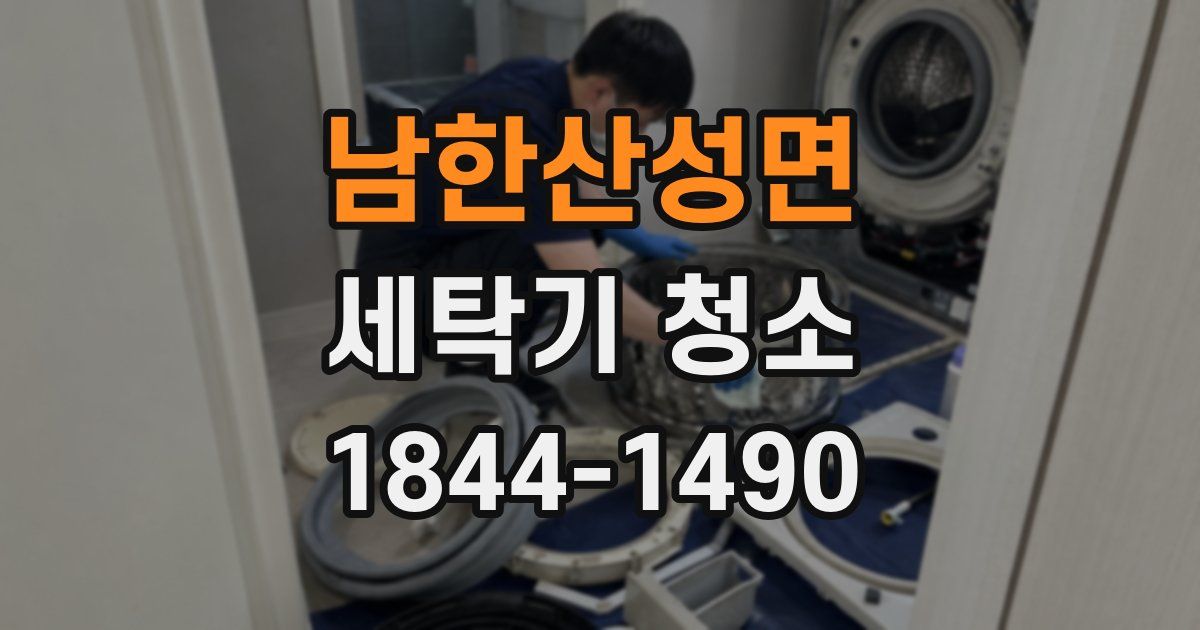 남한산성면 세탁기 청소
