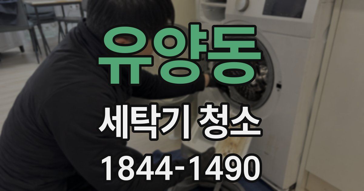 유양동 세탁기 청소