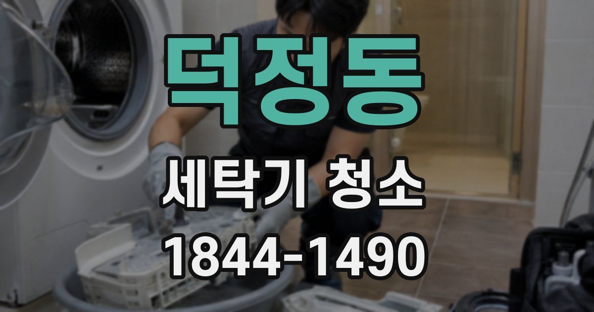 덕정동 세탁기 청소