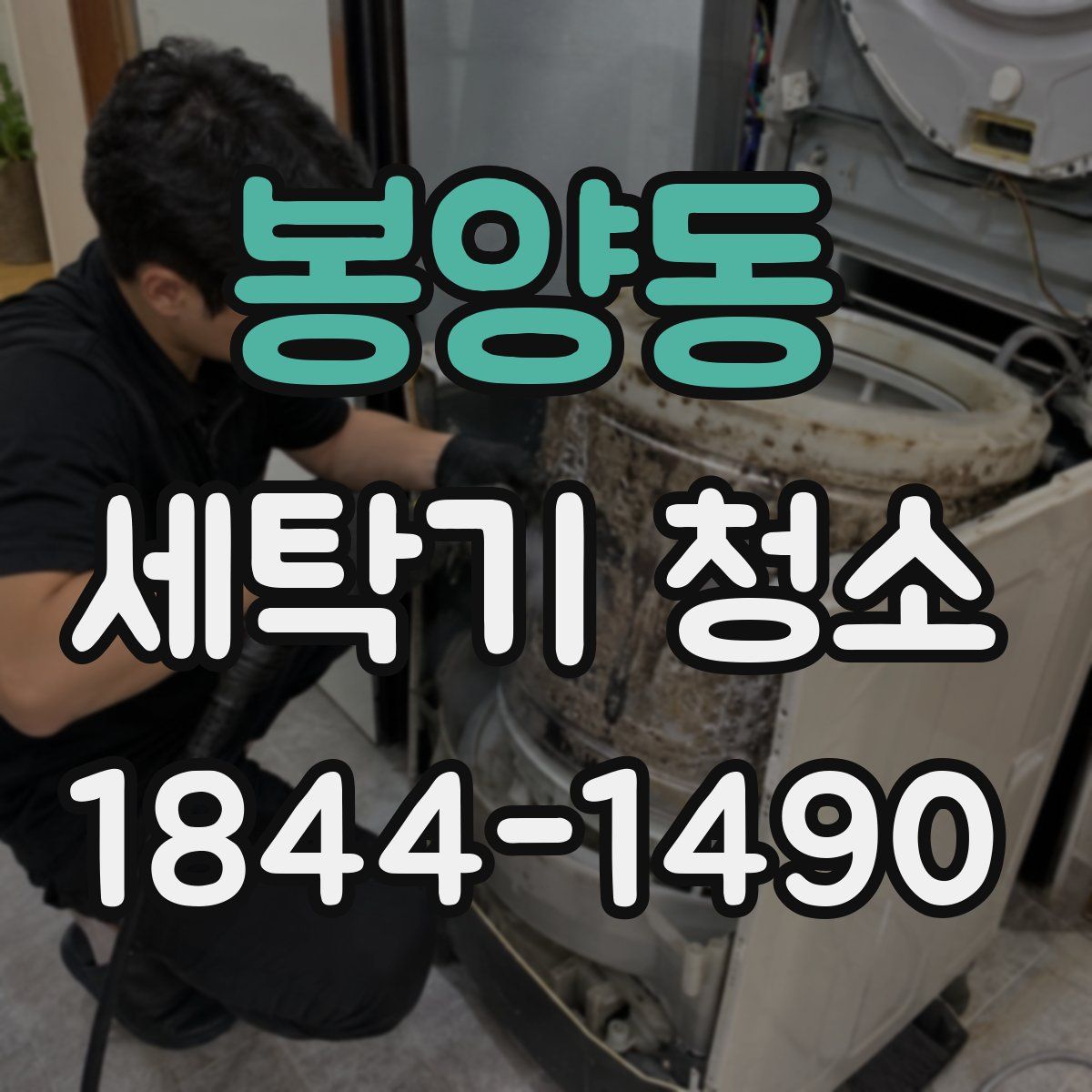 봉양동 세탁기 청소