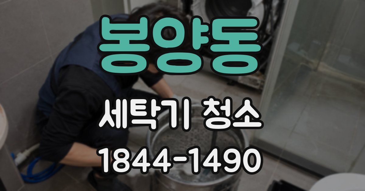 봉양동 세탁기 청소