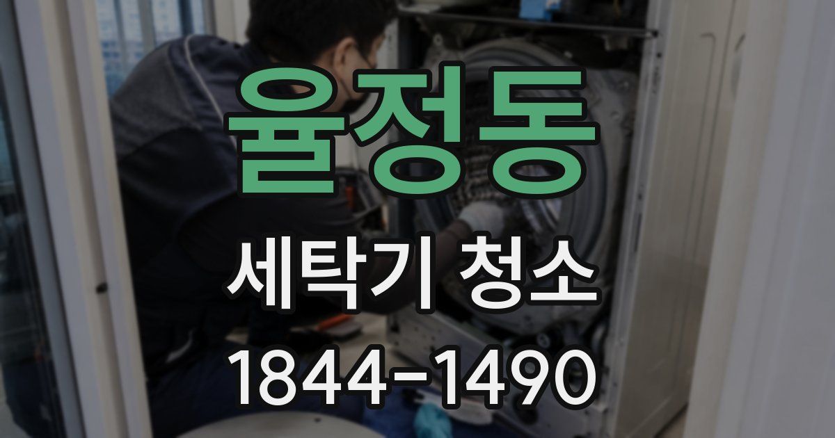 율정동 세탁기 청소