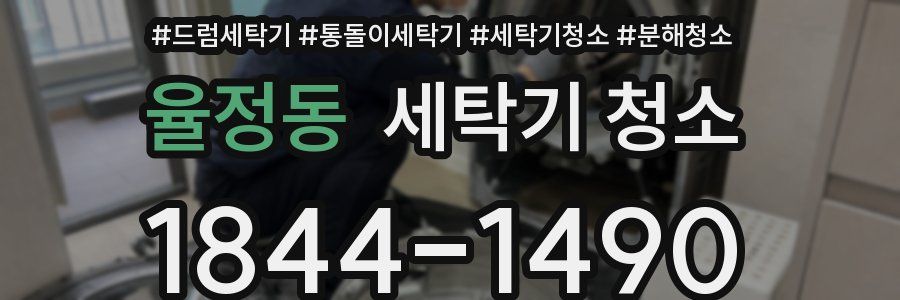 율정동 세탁기 청소