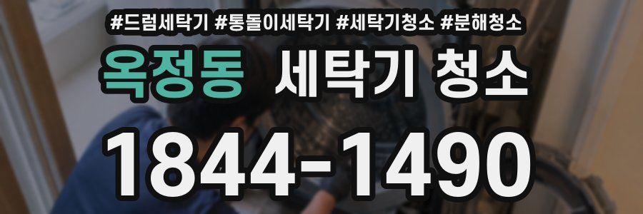 옥정동 세탁기 청소