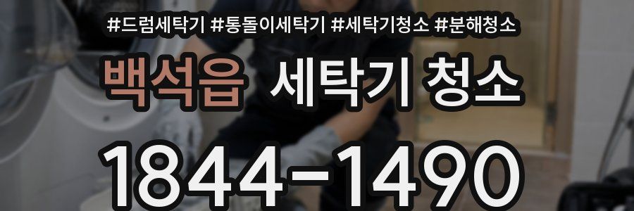 백석읍 세탁기 청소