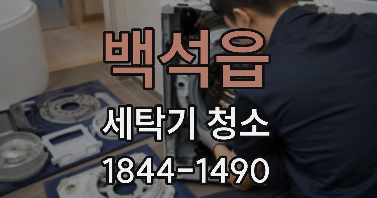 백석읍 세탁기 청소