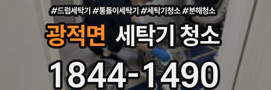 광적면 세탁기 청소