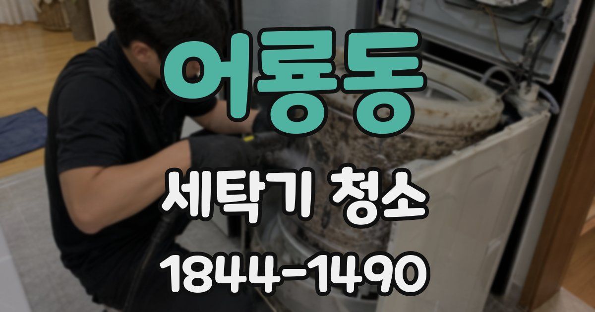 어룡동 세탁기 청소