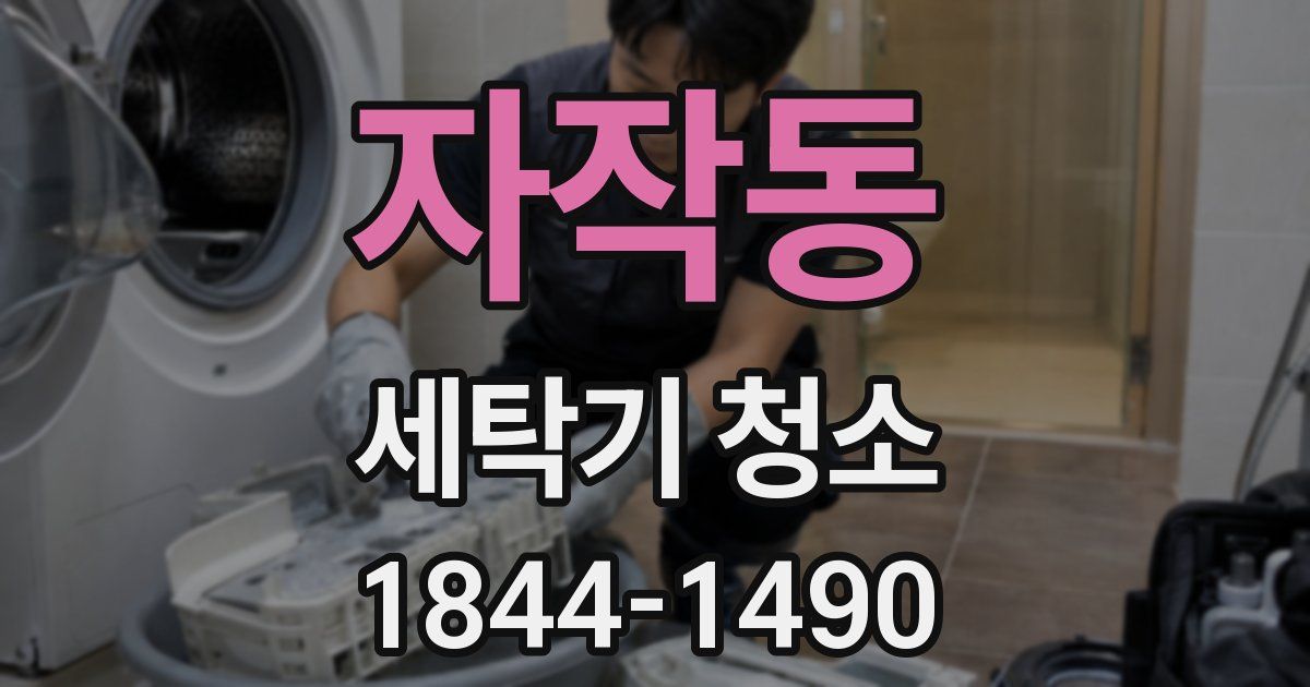 자작동 세탁기 청소