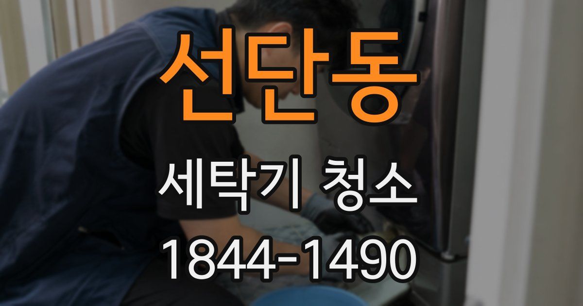 선단동 세탁기 청소