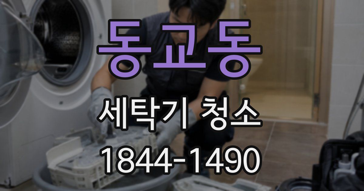 동교동 세탁기 청소
