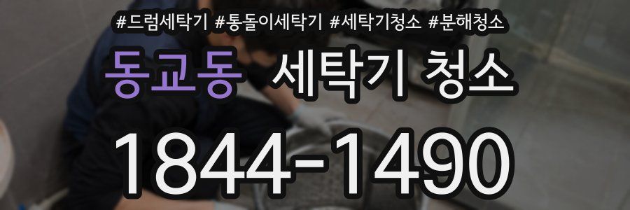 동교동 세탁기 청소
