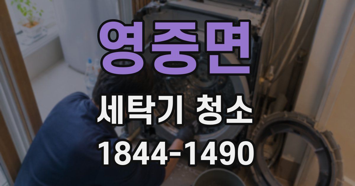 영중면 세탁기 청소