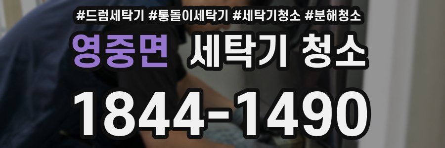 영중면 세탁기 청소