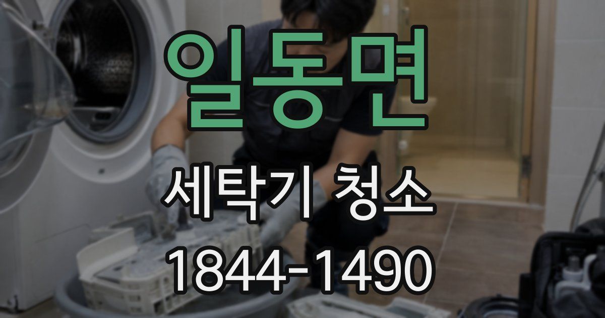일동면 세탁기 청소