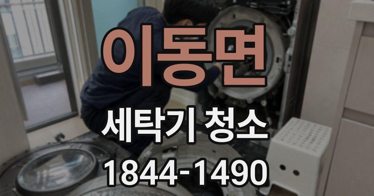 이동면 세탁기 청소